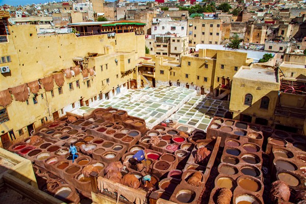 Chouara Tannery Leather Tanning Fez, Morocco